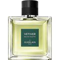 Vetiver
