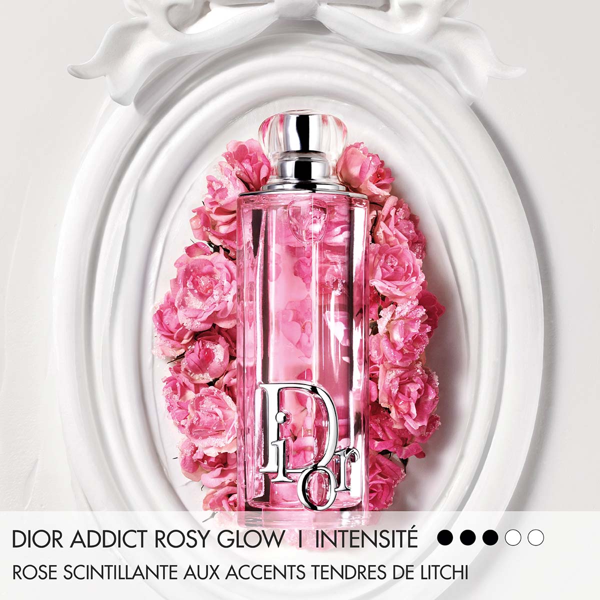 Addict Purple Rosy