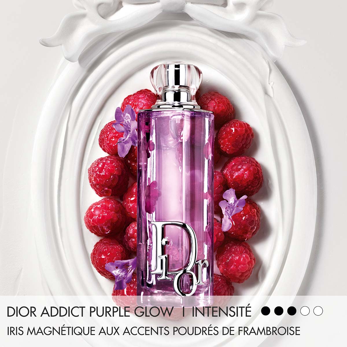 Addict Purple Glow