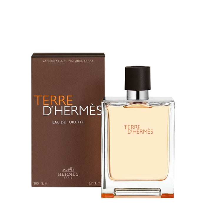Terre d&