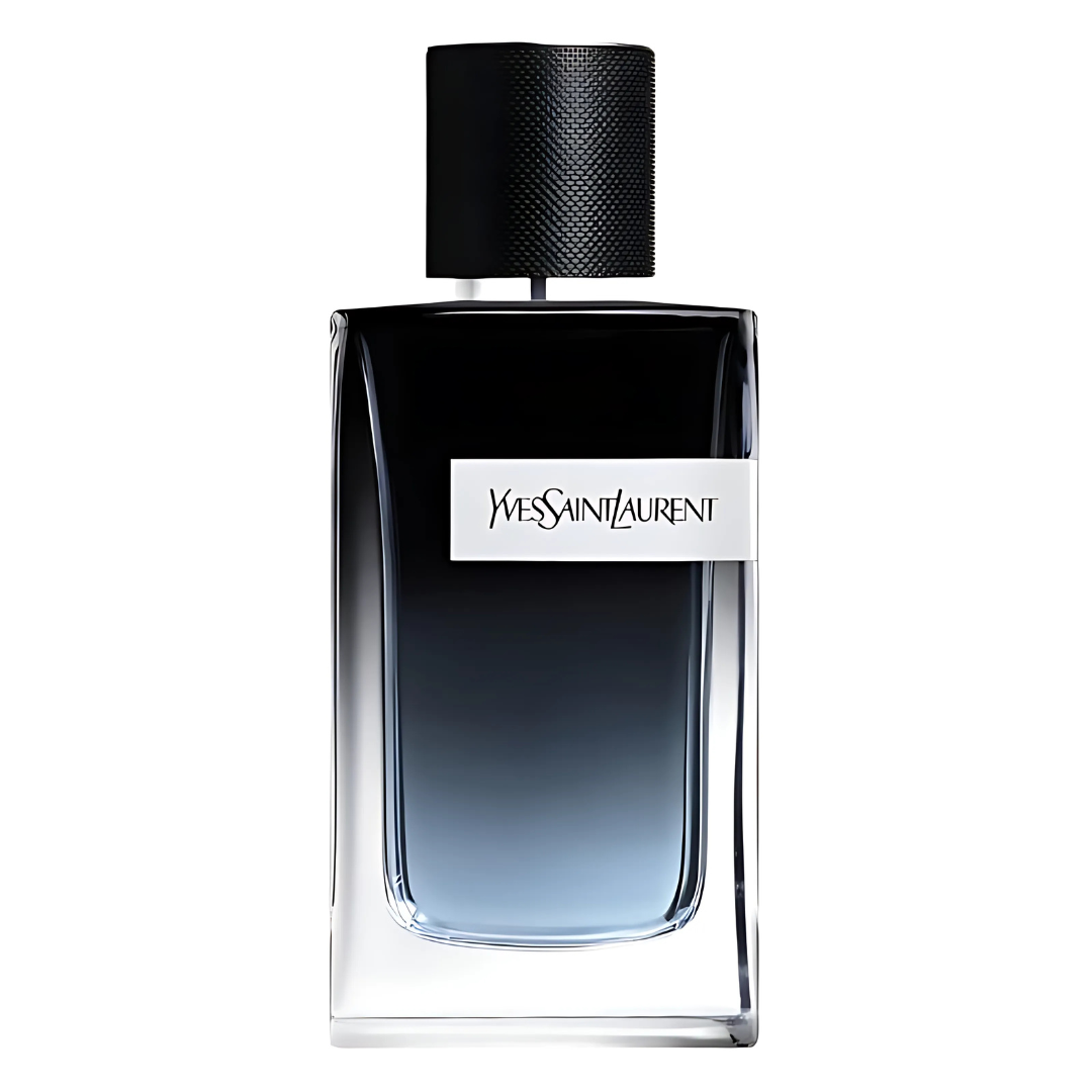 Yves Saint Laurent Y